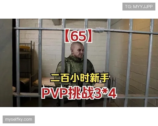 新手如何理解挑战判罚规则及其正确使用时机？